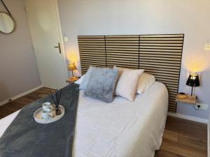 T2 rénové proche Thermes avec piscine et WiFi - FR-1-541-183