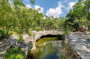 Habitación 1 Cama King, Tulum Country Home, con Muelle de Pesca, Club de Playa, Alberca, Cenote y Campo de Golf, Contrata Day Pass Bahia Principe
