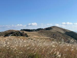 Kasamatsutei - Vacation STAY 73449v