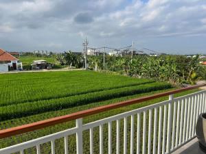 Luxury Seseh Escape - Rice field View