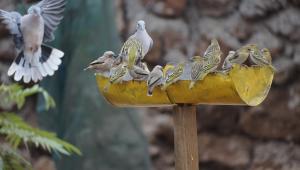 Oldonyo Musa Camp Amboseli
