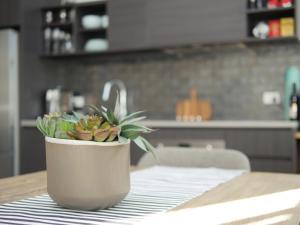 Inner-City apartment minutes walk to dining hubs