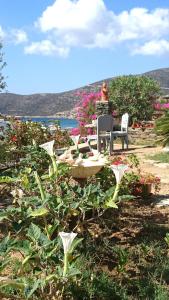 Ostria Studios Sifnos Greece