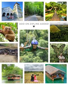 Van Rental COUNTRYSIDE TOUR IN BOHOL