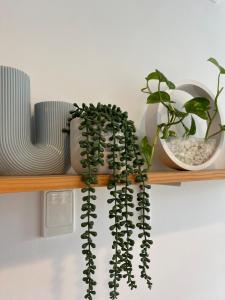 Riviera 2 BRM Luxe Living