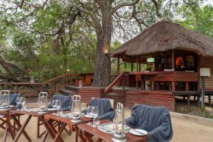 Lion Tree Top Lodge