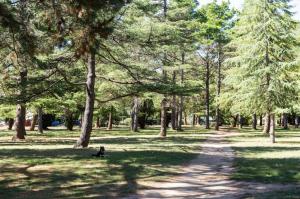 Braddon Studio: Parking & BBQ