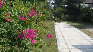 Tuli Orchid - A Boutique Eco Resort