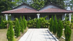 Tuli Orchid - A Boutique Eco Resort