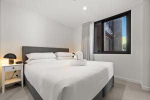 Unwind in Elegance: Your Perfect Braddon Apartment