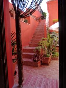 Il Pozzo Dei Desideri img40