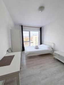 Cozy Studio near the center of Cluj