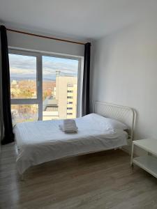 Cozy Studio near the center of Cluj