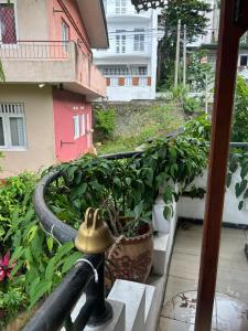 Kandy IVY Banks Holiday Resort