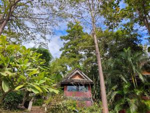 The Moon Rabbit Resort Pai