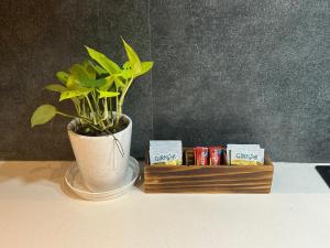 Blue Sapphire Studio Apartment