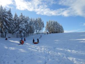 Zlatibor Apartman Mata