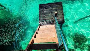 Borneo Island Resort