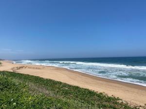 Whale Tale Beachfront Apartment-50m from beach