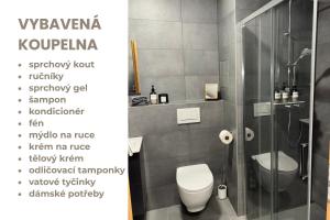 Luxusní Apartmán Domovjanka - KNĚHYNĚ