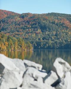 Lake View Żywiec Resort & SPA