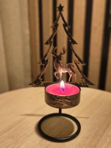 Apartament Krynica Central