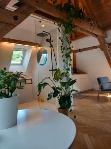 Un petit nid atypique au cœur de Munster