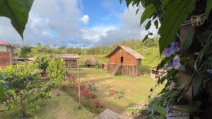 Rumsram homestay rumah etnik papua