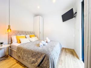 Avo Maria 2 House by AH