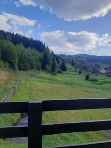 Лісовий котедж