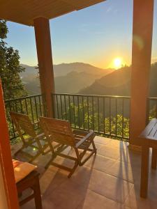 Will Guest Homestay