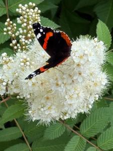 Spacious & bright house, former historical school
