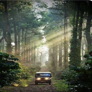 Aagani Gudda Nature Stay By StayApart