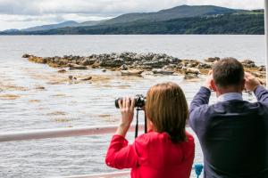 Detached 3 bedroom holiday home just 1km from Kenmare