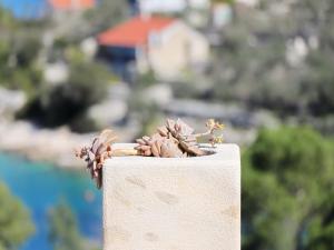 Stone House Horizont