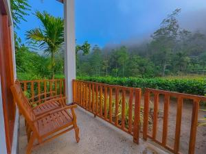 Sinharaja Rainforest Vibe
