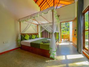 Sinharaja Rainforest Vibe