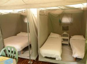 Camping 3 étoiles - Piscine - cbgcaia