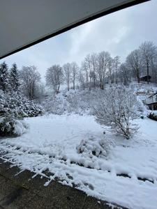 Katharinas Sleepover - Budget Holiday Home