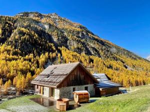 Chalet prestige 14 pers au pied des pistes