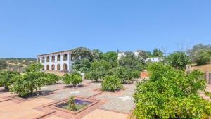 Finca Jaralta Carmen by Ruralidays