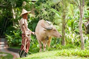 Keemala - Birds Nest Pool Villa