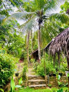 Tropical Heaven