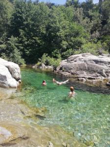 Chalet 3 étoiles - Piscine - ccaibfi