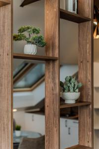 Chamber Luxury House