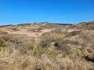 6 person holiday home in Hirtshals-By Traum