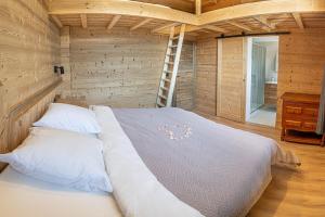 Chalet école des cimes