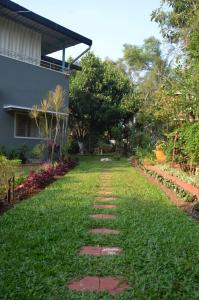 Under the Tamarind