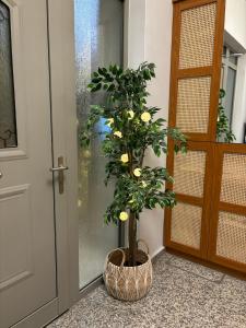 Georgia seaview apartments Α1