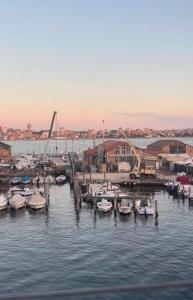 Ca' Nerea, Vista magica sulla laguna